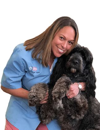 the village vets avondale estates|The Village Vets Avondale Estates .